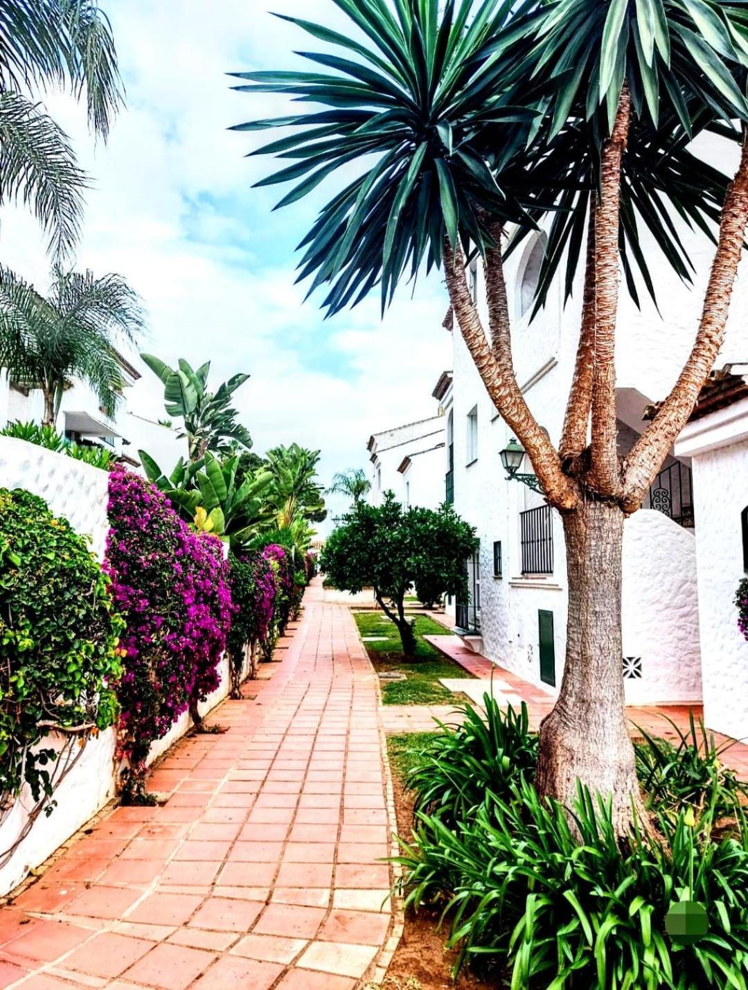 Paraiso Y Mar Leilighet Estepona Eksteriør bilde